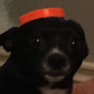 Meet your Posher, Rita